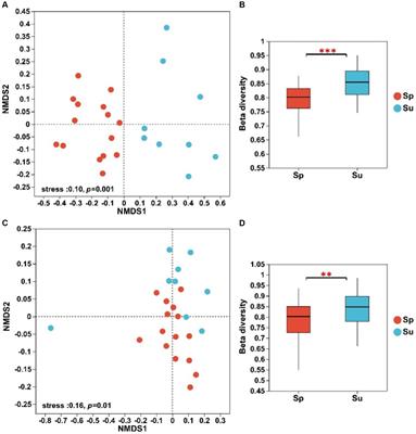 Spartina alterniflora invasion reduces soil microbial diversity and weakens soil microbial inter-species relationships in coastal wetlands